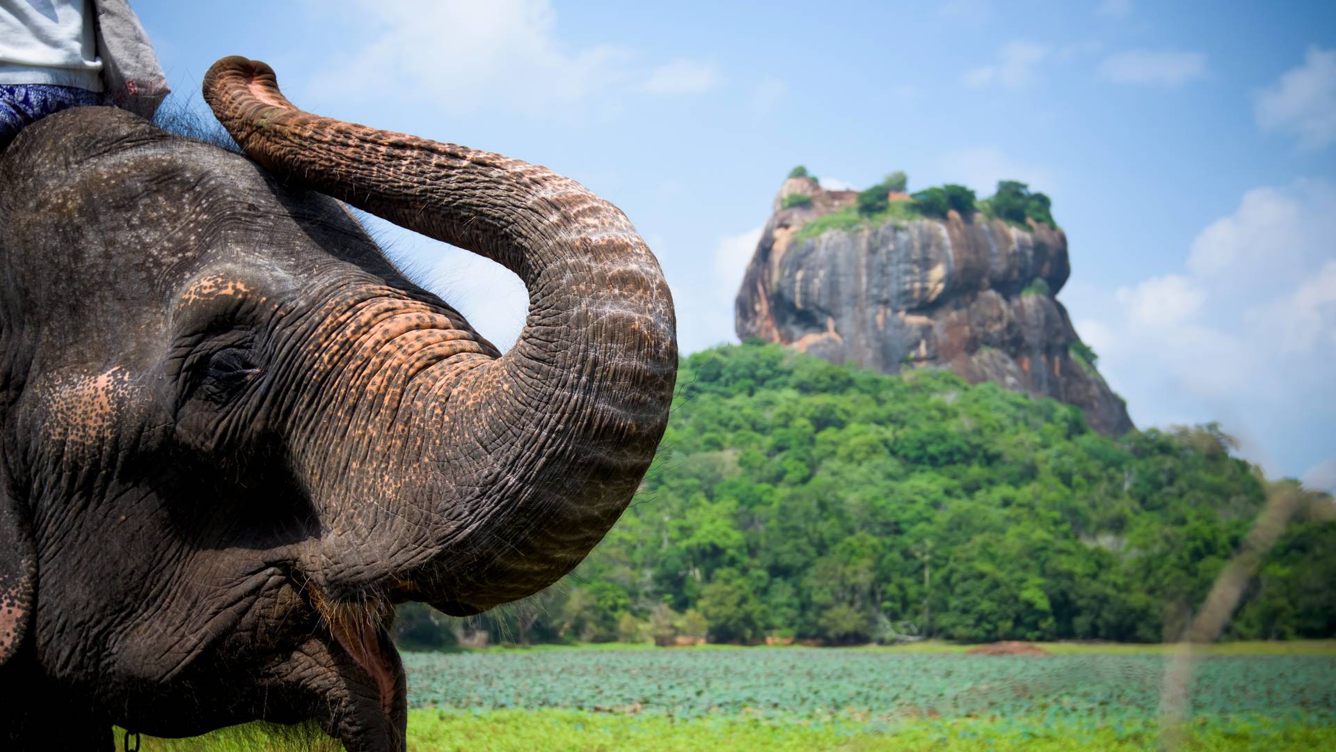 sri lanka adventure holidays page Etihad Holidays