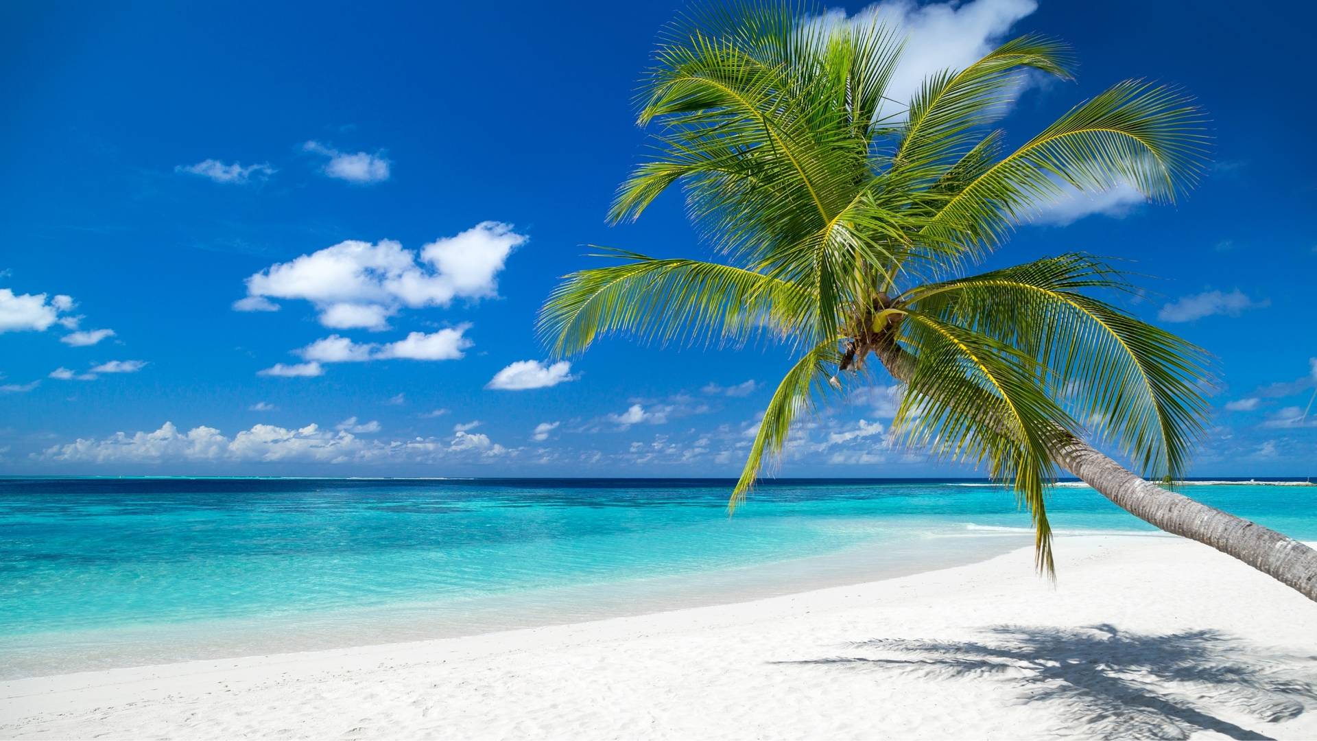 Last Minute Angebote - Etihad Holidays Last Minute Angebote - Etihad Holidays