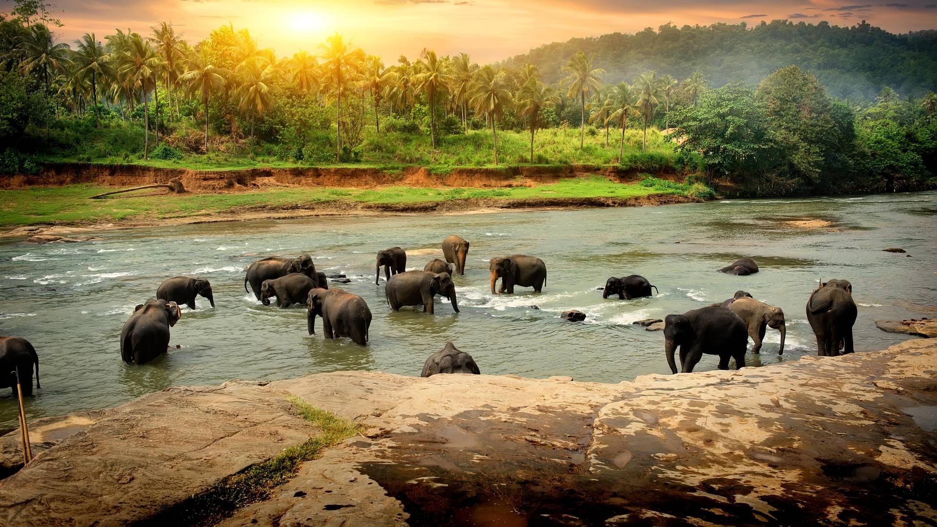 Sri Lanka - Etihad Holidays Sri Lanka - Etihad Holidays