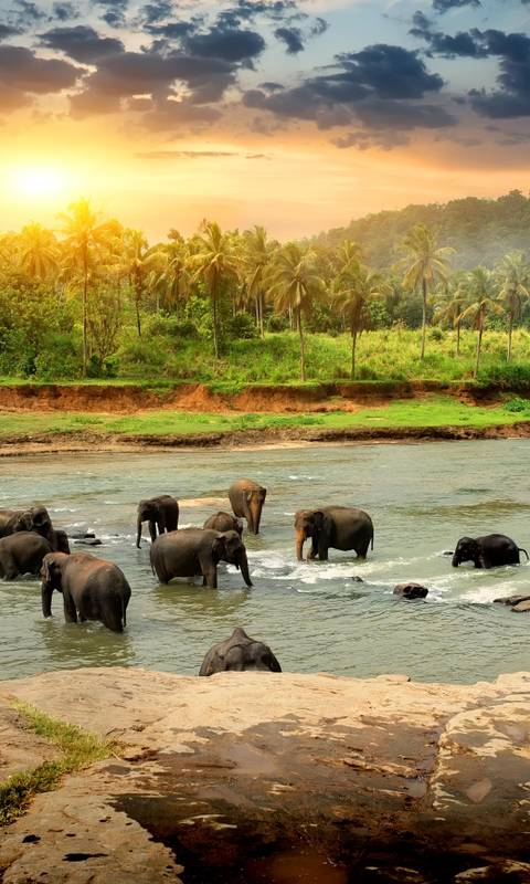 Sri Lanka Etihad Holidays