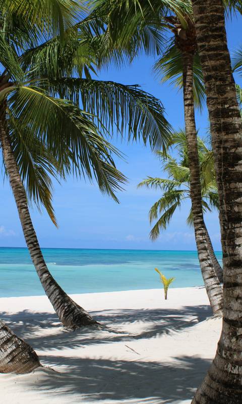 Deine Traumreise buchen mit Capital Holidays