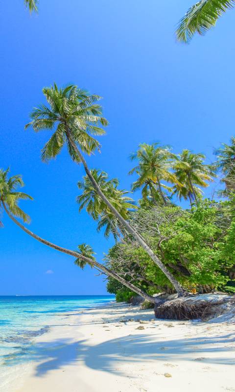 Your Next Holiday Starts Here Your Next Holiday Starts Here
