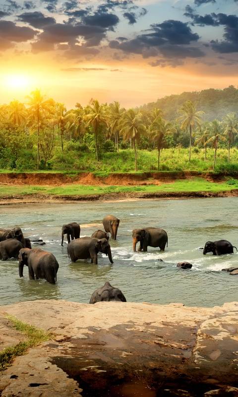 Sri Lanka Awaits 