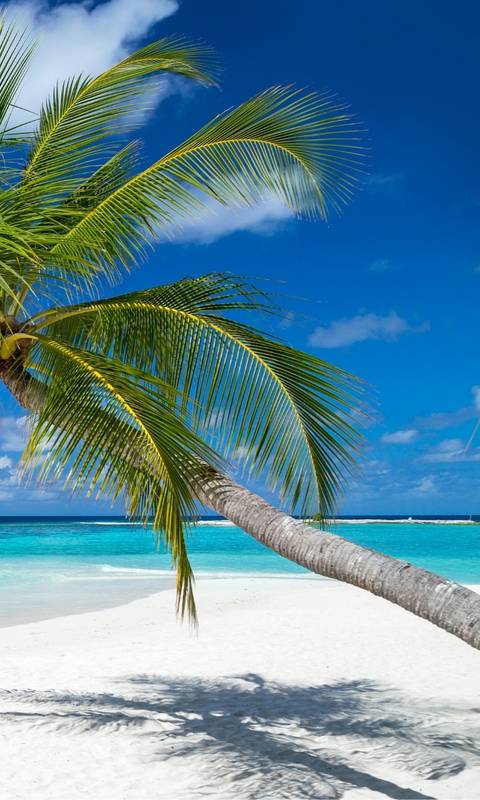 JETZT IST EIN GUTER MOMENT FÜR URLAUB. JETZT IST EIN GUTER MOMENT FÜR URLAUB.