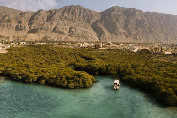 northern eirates arab man looks at the sea ship