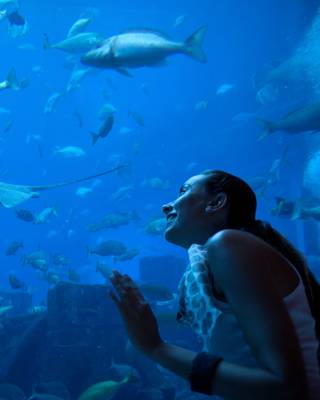 Sharjah Aquarium