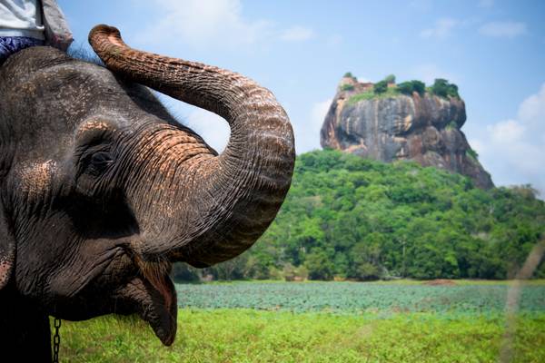 Sri Lanka Capital Holidays