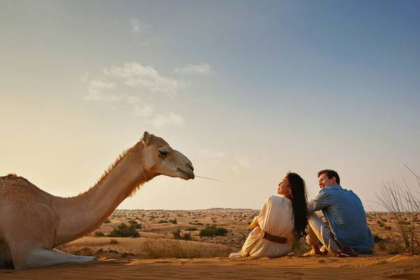 Desert Safari