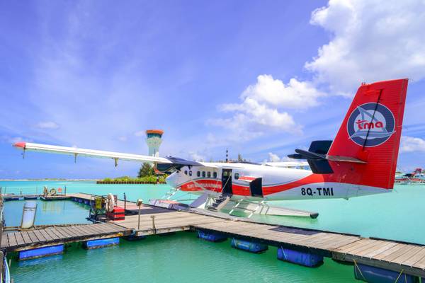 male maldives