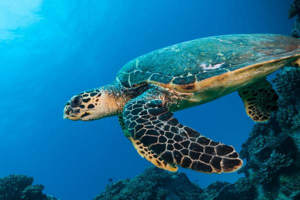 Seychelles Etihad Holidays Seychelles Etihad Holidays