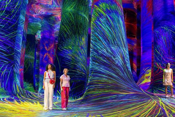 Ticket - teamLab Phenomena Abu Dhabi